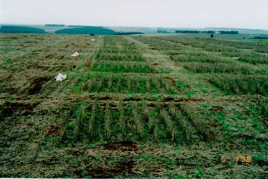 vista_campo_1.jpg