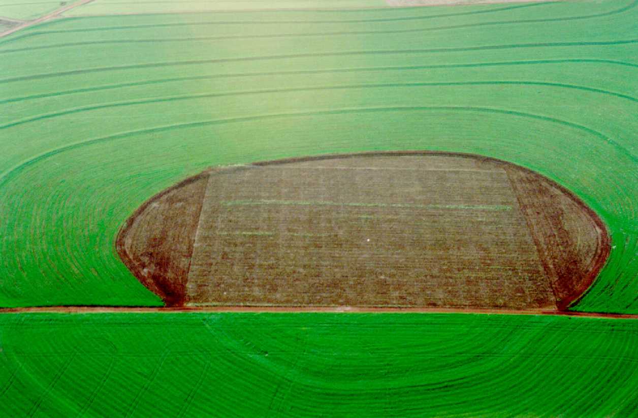 vista_panoramica2.jpg