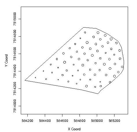 points.jpeg points.jpeg